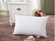 Tùy chỉnh xuống Feather Pillow Xuống Feather Body Pillow Tự - Piping