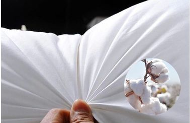 Mềm Trang chủ / Khách sạn thoải mái xuống Feather Pillow cho trang trí, ngủ, giường