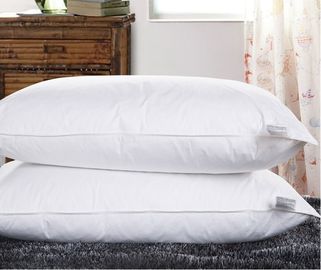 Chống ngừng thở xám vịt lông bông thứ vải chúc bâu sạn Gối Insert trắng hoặc tùy chỉnh